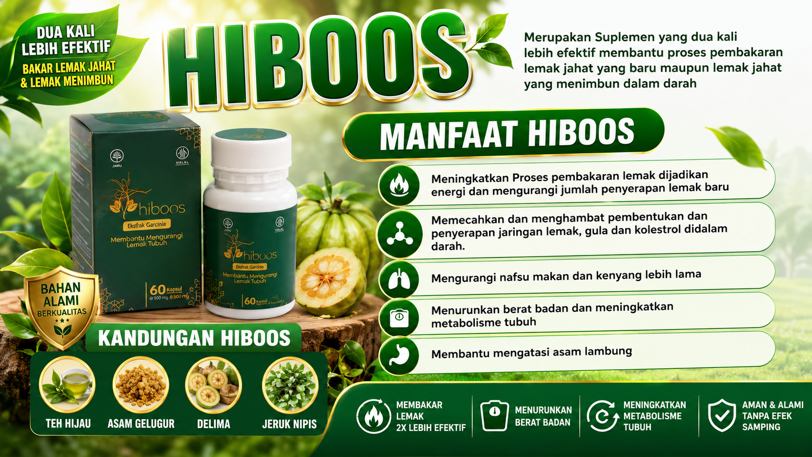 HIBOOS